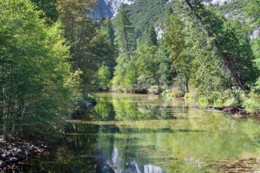 dağlar, orman ve nehir yosemite manzara