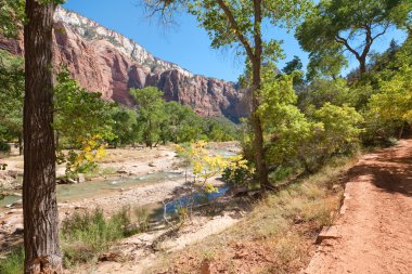 nehir zion national Park