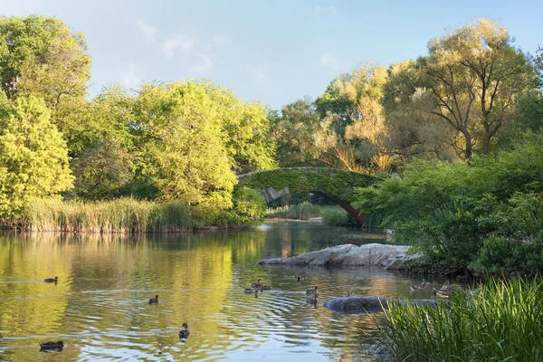 Vista del estanque en el Parque Central de NY — Foto de Stock