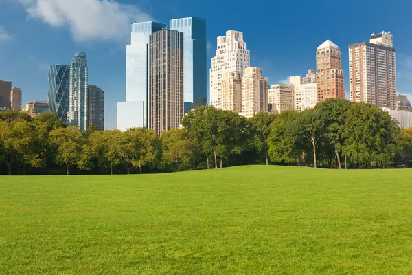 New York Central Park — Stock Photo, Image