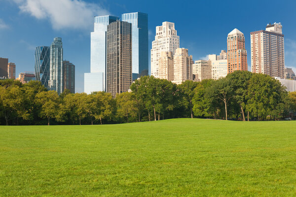 Urban view of the city of New York from the Central Park. GPS information is in the file