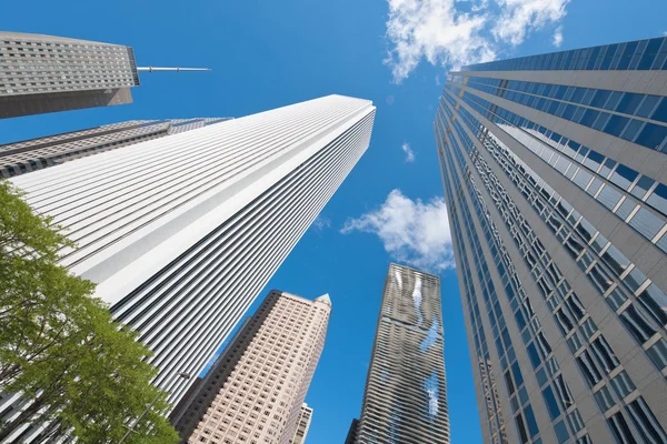 Skyscrapers in Chicago — Stock Photo, Image