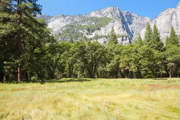 Árboles contra las montañas en Yosemite — Foto de Stock
