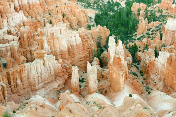 Kijk in de bryce canyon — Stockfoto
