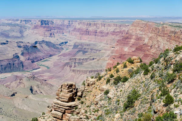 View of the Grand Canyon — Stock Photo, Image