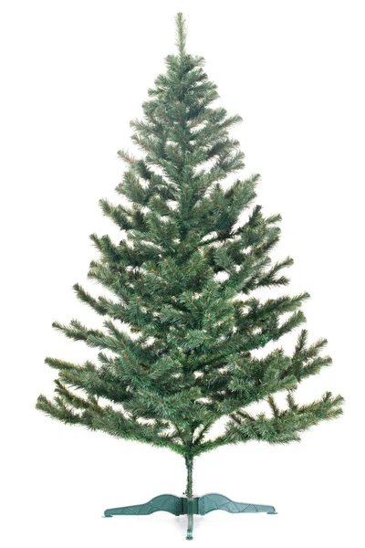 stock image Christmas tree undecorated