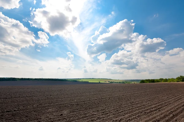 stock image Plowed field