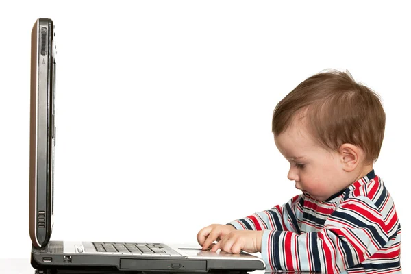 O miúdo está a trabalhar com um portátil. — Fotografia de Stock