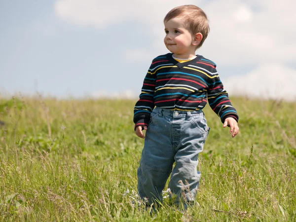 Niño en el prado de verano —  Fotos de Stock