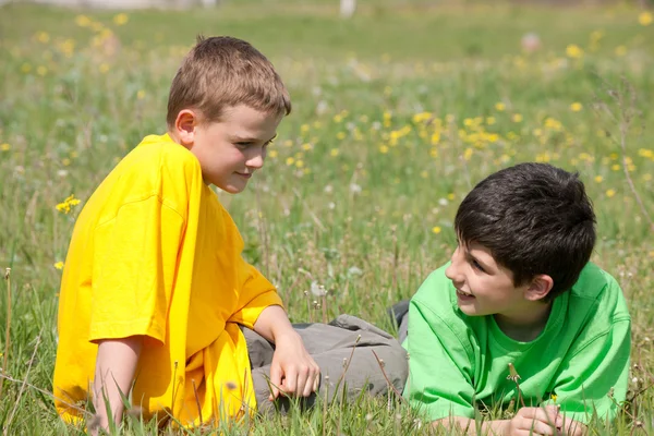 两个男孩在草地上的谈话 — 图库照片