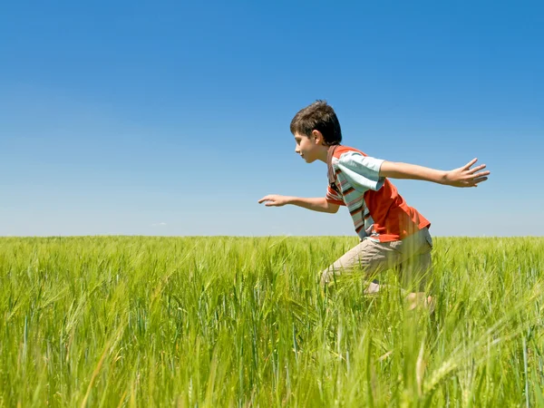 Бегущий мальчик в поле — стоковое фото