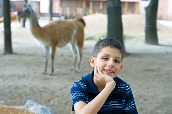 Мальчик в зоопарке — стоковое фото