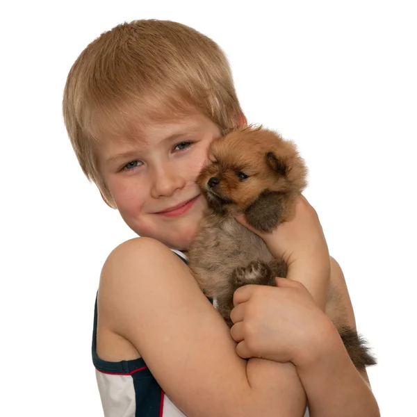 小さな子犬を持つ少年のポートレート — ストック写真
