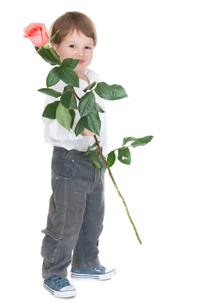 Very little gentleman holding a rose — Stock Photo, Image