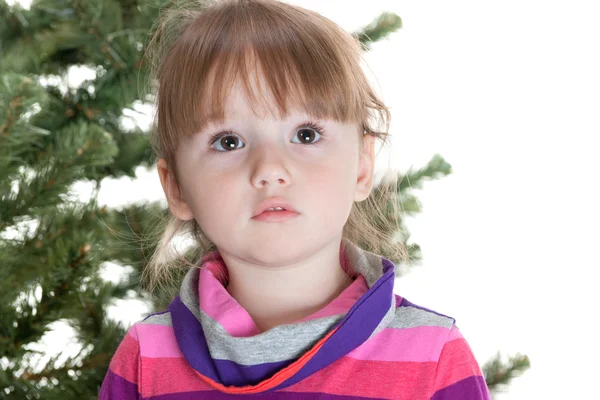 Portrait of a pretty little girl in front of undecorated fur tre — Stock Photo, Image