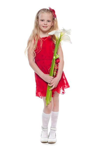 Pretty little girl with callas — Stock Photo, Image