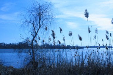 Snagov Lake, Bucharest clipart