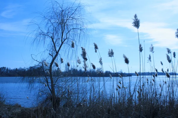 Jezioro Snagov, Bukareszt Zdjęcia Stockowe bez tantiem