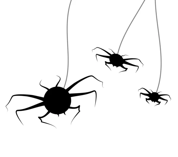 Arañas — Archivo Imágenes Vectoriales