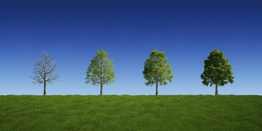 Trees with and without leaves clipart