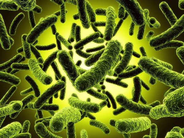 Bakterie — Zdjęcie stockowe