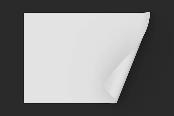 Papel em branco com ondulação de página no fundo escuro — Fotografia de Stock