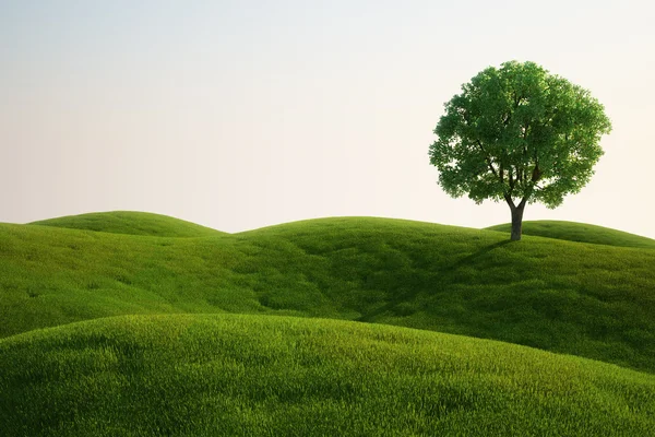 Травяное поле с деревом — стоковое фото