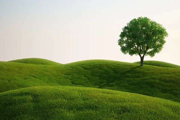 Campo di erba con un albero — Foto Stock