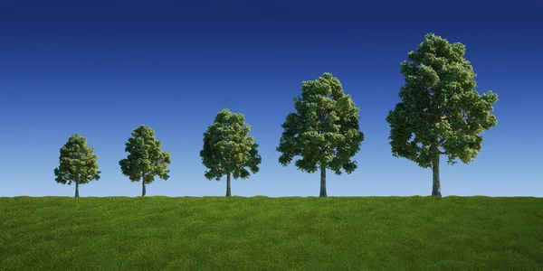 Gráfico de árvores — Fotografia de Stock