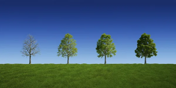 Stromy s a bez listí — Stock fotografie