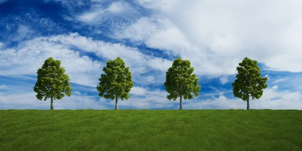 Árvores em uma fileira com nuvens de verão — Fotografia de Stock