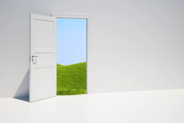 Двері з трав'яним полем — стокове фото