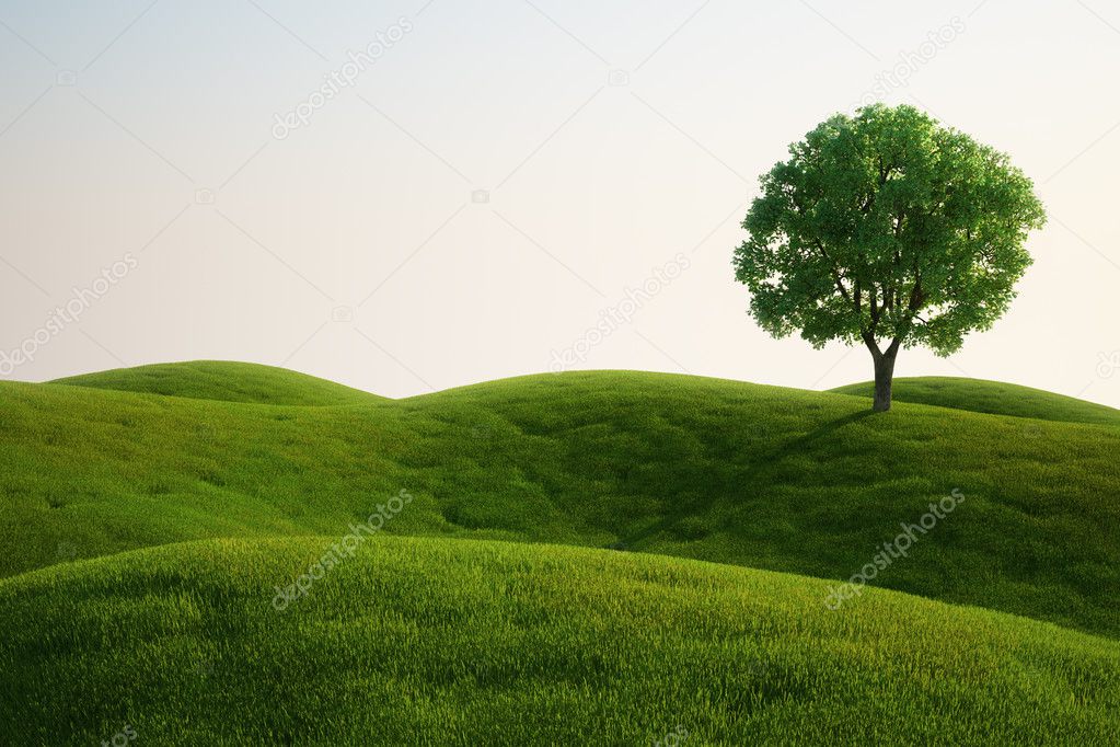 Grass field with a tree