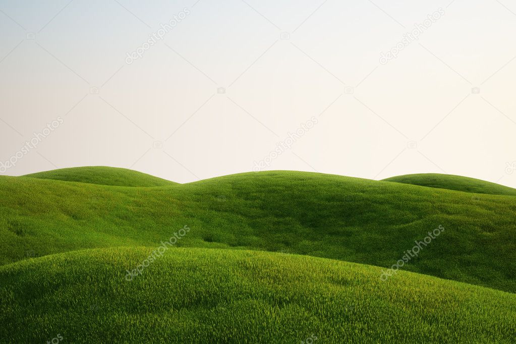 Grass field ⬇ Stock Photo, Image by © zentilia #8283846