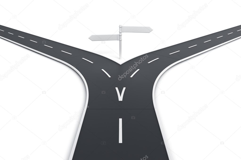 Splitting road with blank road signs
