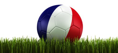 Soccerball in grass