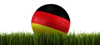 Soccerball in grass