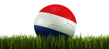 Soccerball in grass