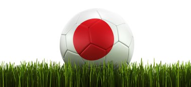 Soccerball in grass