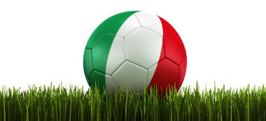 Soccerball in grass