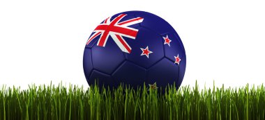 Soccerball in grass