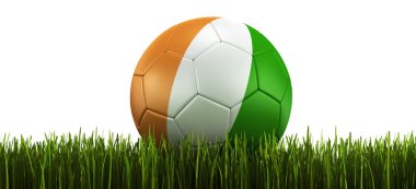 Soccerball in grass