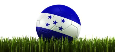 Soccerball in grass