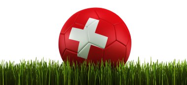 Soccerball in grass