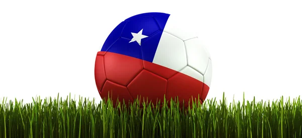 Futebol na grama — Fotografia de Stock