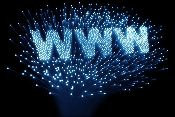 Fiber optic - WWW — Stock Photo, Image