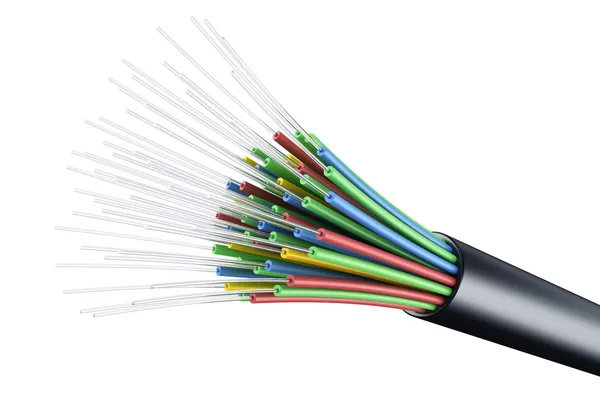 Száloptikai kábel Stock Kép
