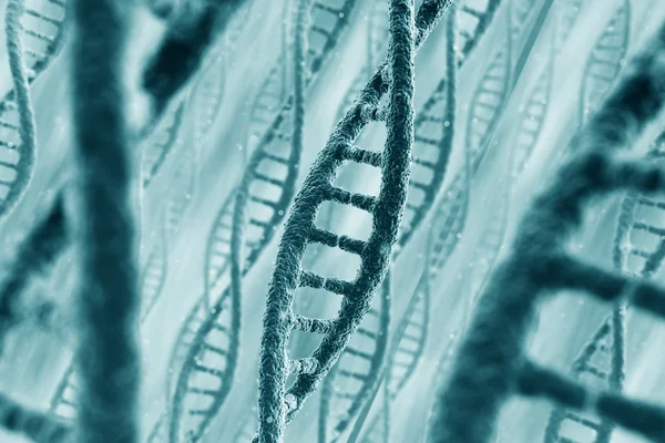 DNS-szálak Stock Fotó