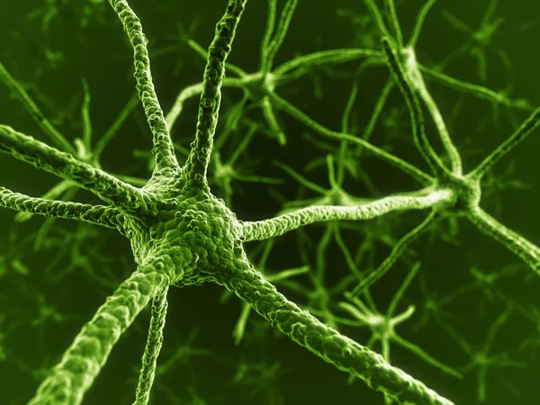 Νευρώνες Φωτογραφία Αρχείου