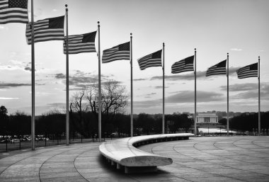 American Flags with the Lincoln Memorial in the Background clipart